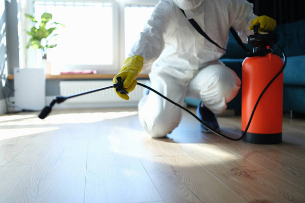 Reliable Biohazard Cleanup contractor in Apple Valley, CA by Trauma Clean Pros